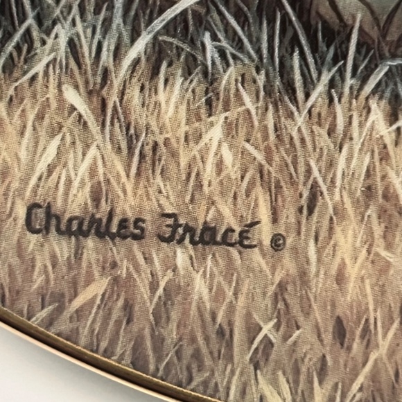 Young Explorer by Charles Fracé  Small Wonders of the Wild Plate # 3607 C - Picture 8 of 13